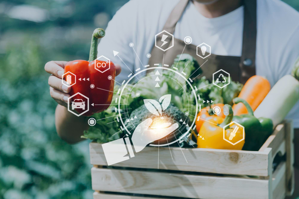 The Role of Data in Achieving Global Food Security Goals The Role of Data in Achieving Global Food Security Goals