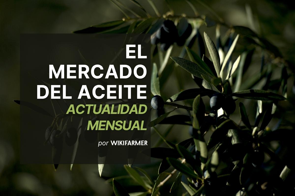 El mercado del aceite:  julio 2025