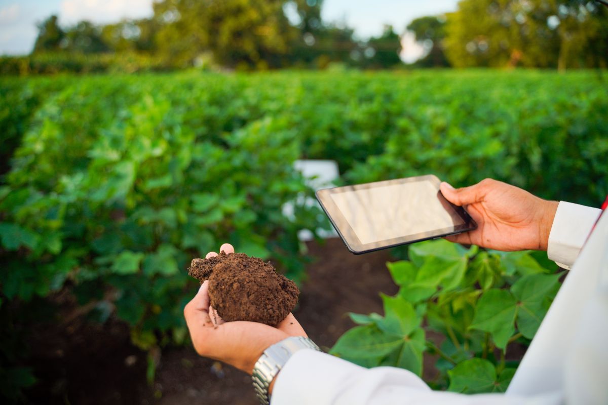 Regenerative Agriculture and Cover Crops Building Soil Health for Sustainable Farming Regenerative Agriculture and Cover Crops: Building Soil Health for Sustainable Farming
