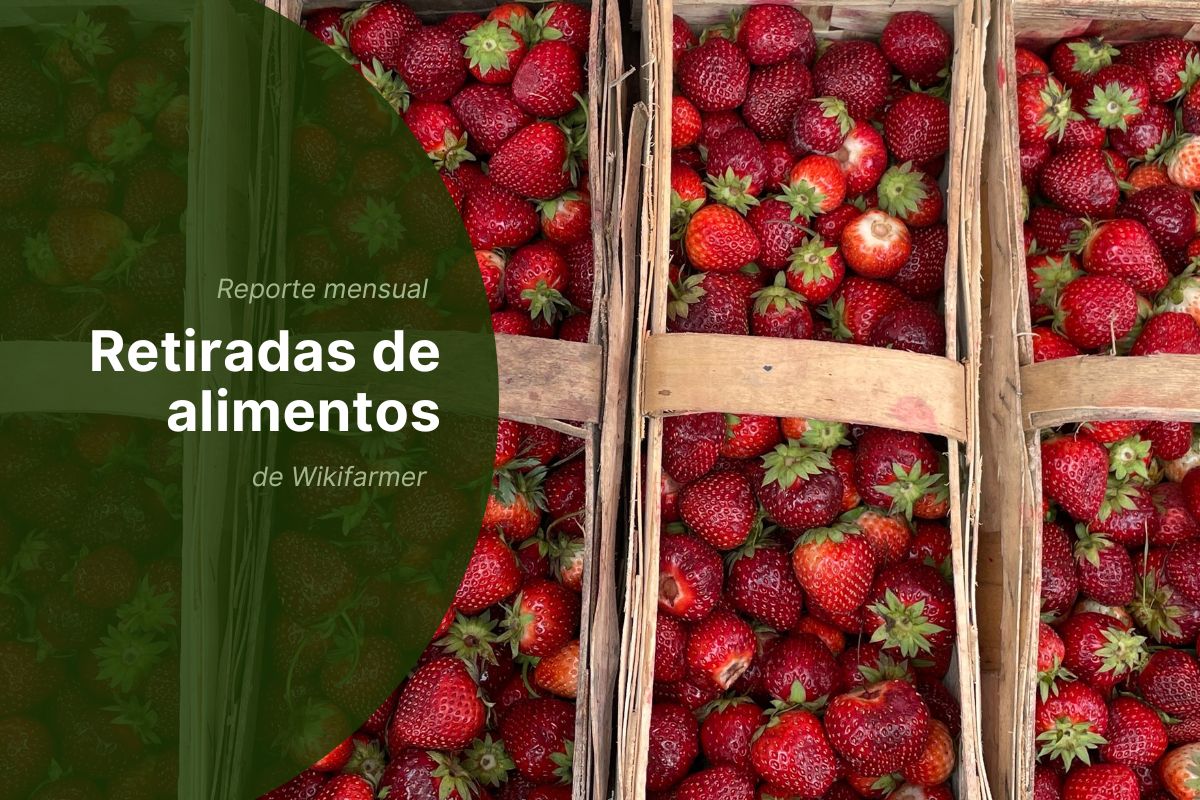 Análisis mensual de retiradas de alimentos: Julio