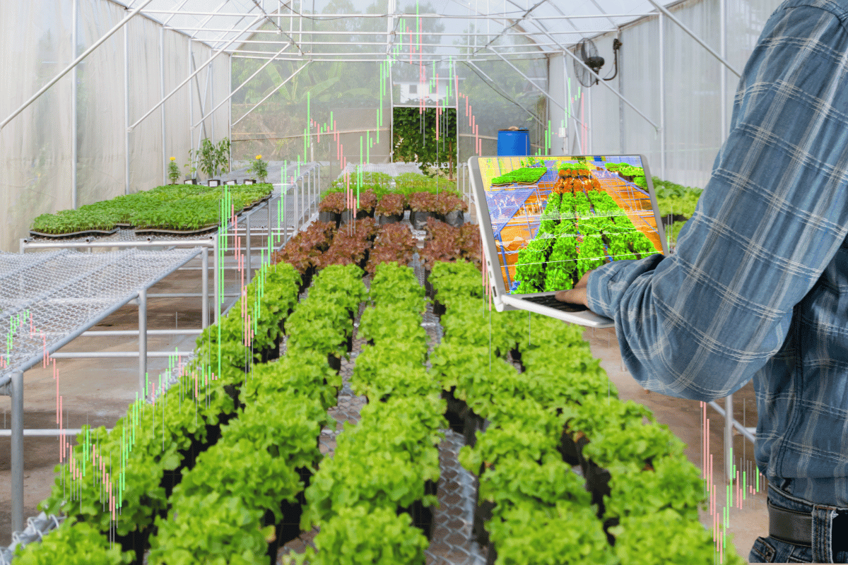 When your greenhouse gets smarter AI and IoT that actually work When your greenhouse gets smarter: AI and IoT that actually work