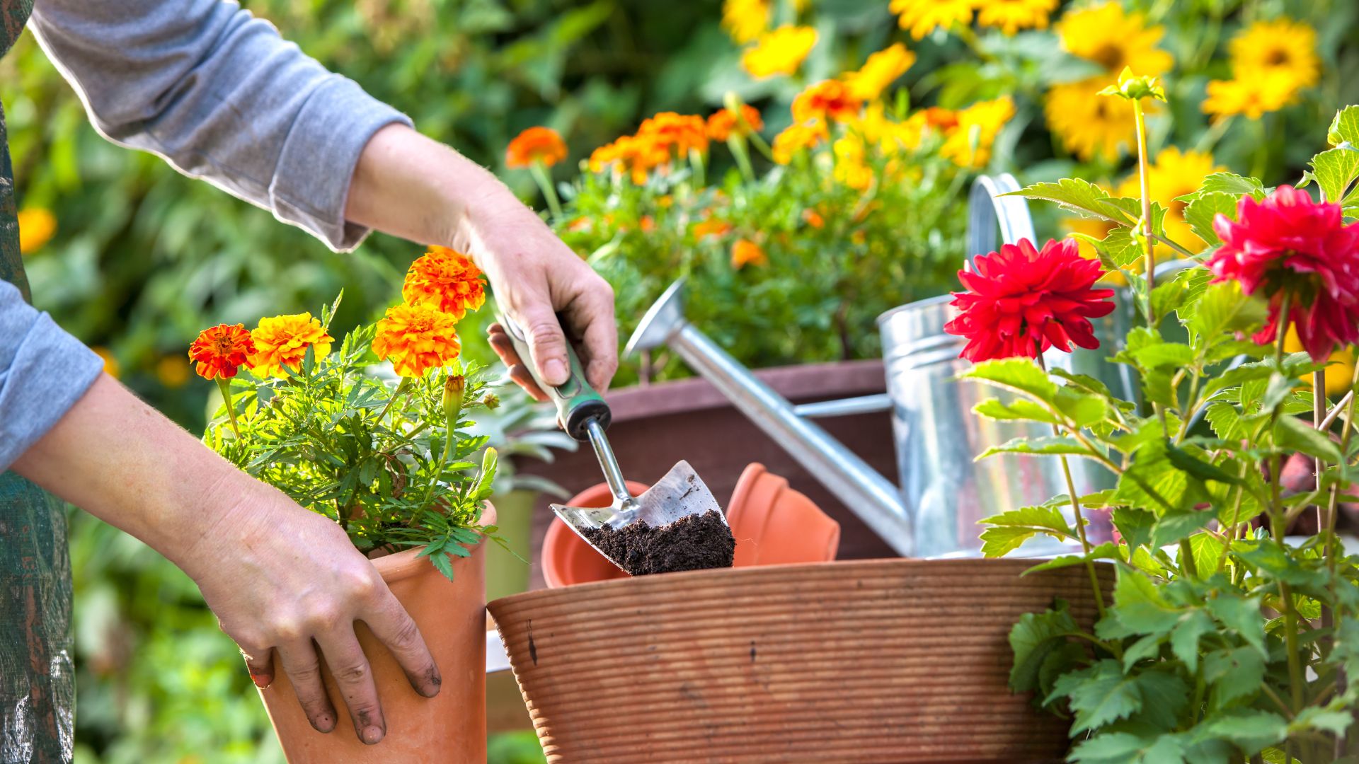 gardening.jpg
