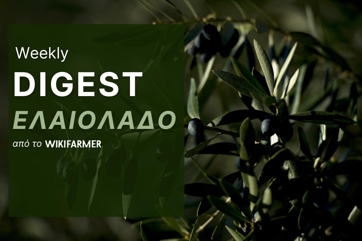 Η αγορά και οι τιμές του ελαιολάδου: Εβδομάδα 36, 2025