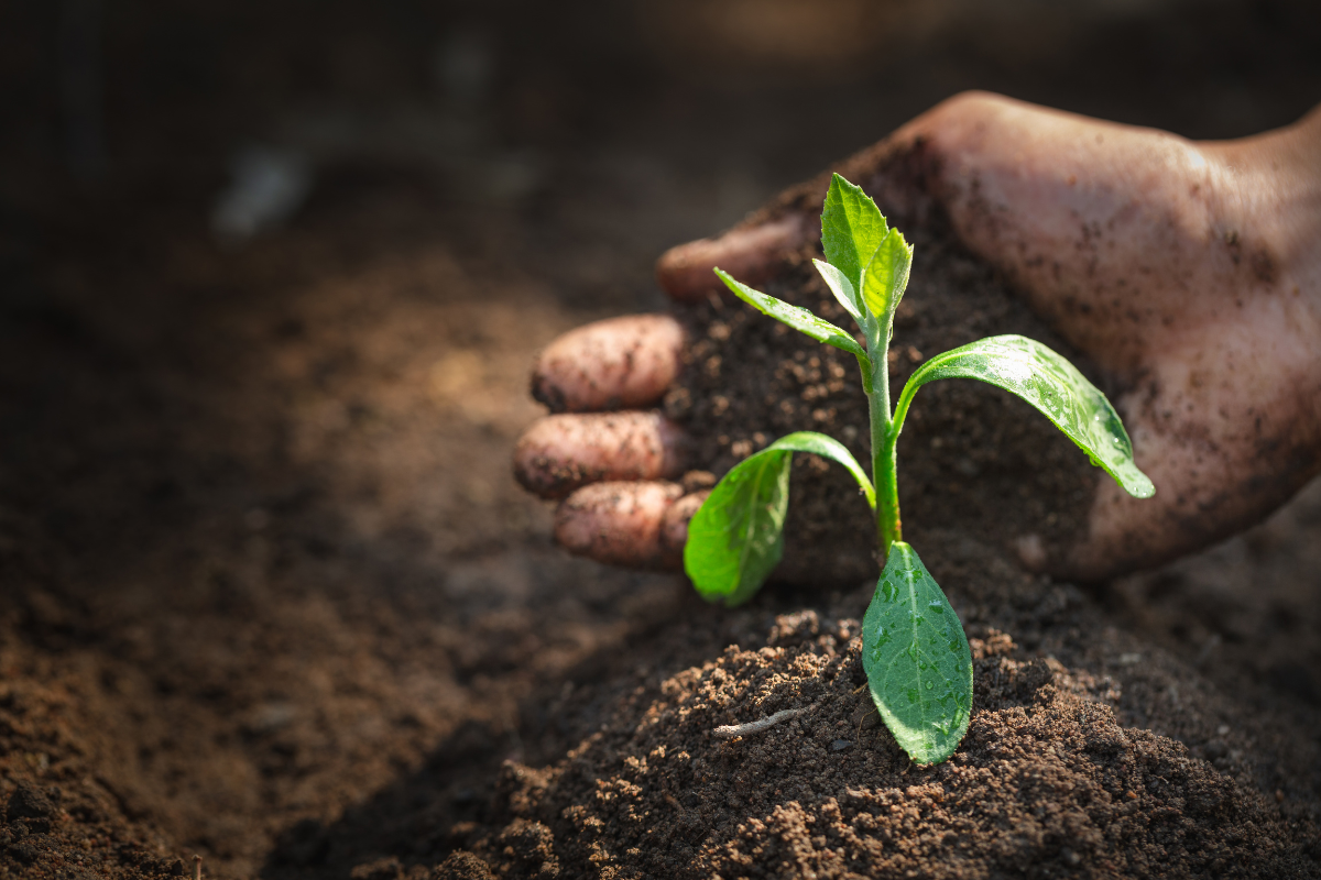 Agrobiodiversity and organic agriculture Drivers of ecological sustainability Agrobiodiversity and organic agriculture: Drivers of ecological sustainability