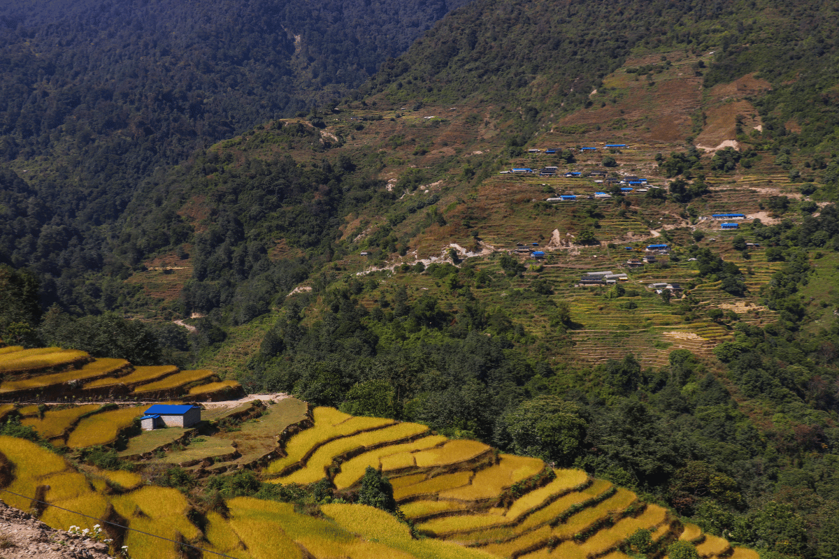 Integrating agrobiodiversity conservation into Nepal’s NAPA for climate change adaptation