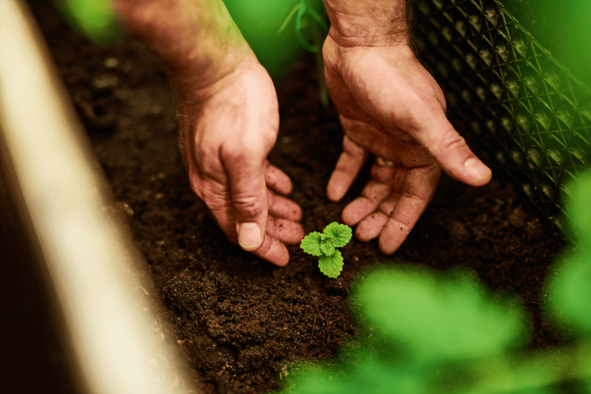 Natural Asset Companies: Can they help farmers finance regenerative agriculture? Natural Asset Companies: Can they help farmers finance regenerative agriculture?