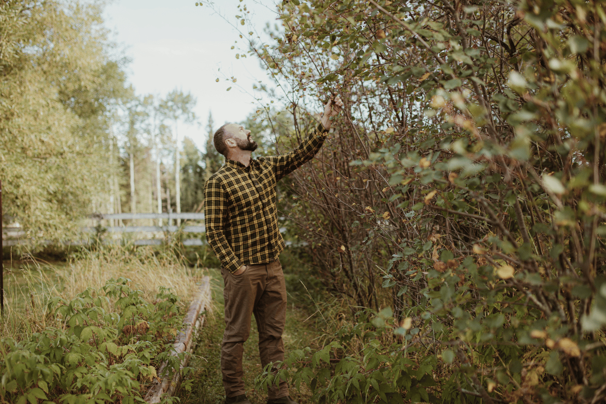 New property analysis tools are helping people optimize their farms