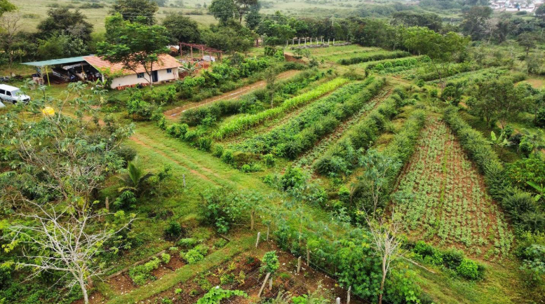 Integrating agrobiodiversity conservation | Wikifarmer