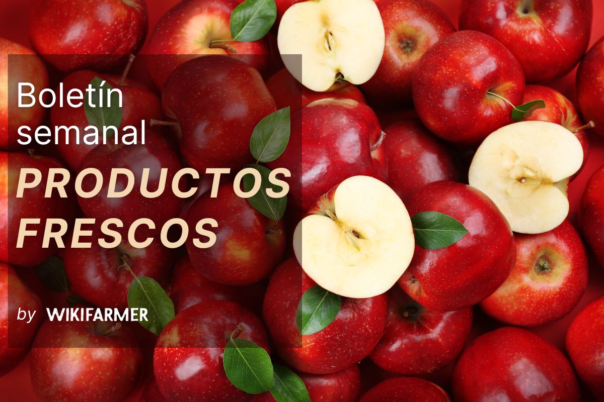 Boletín semanal de productos frescos Boletín de productos frescos: semana 38
