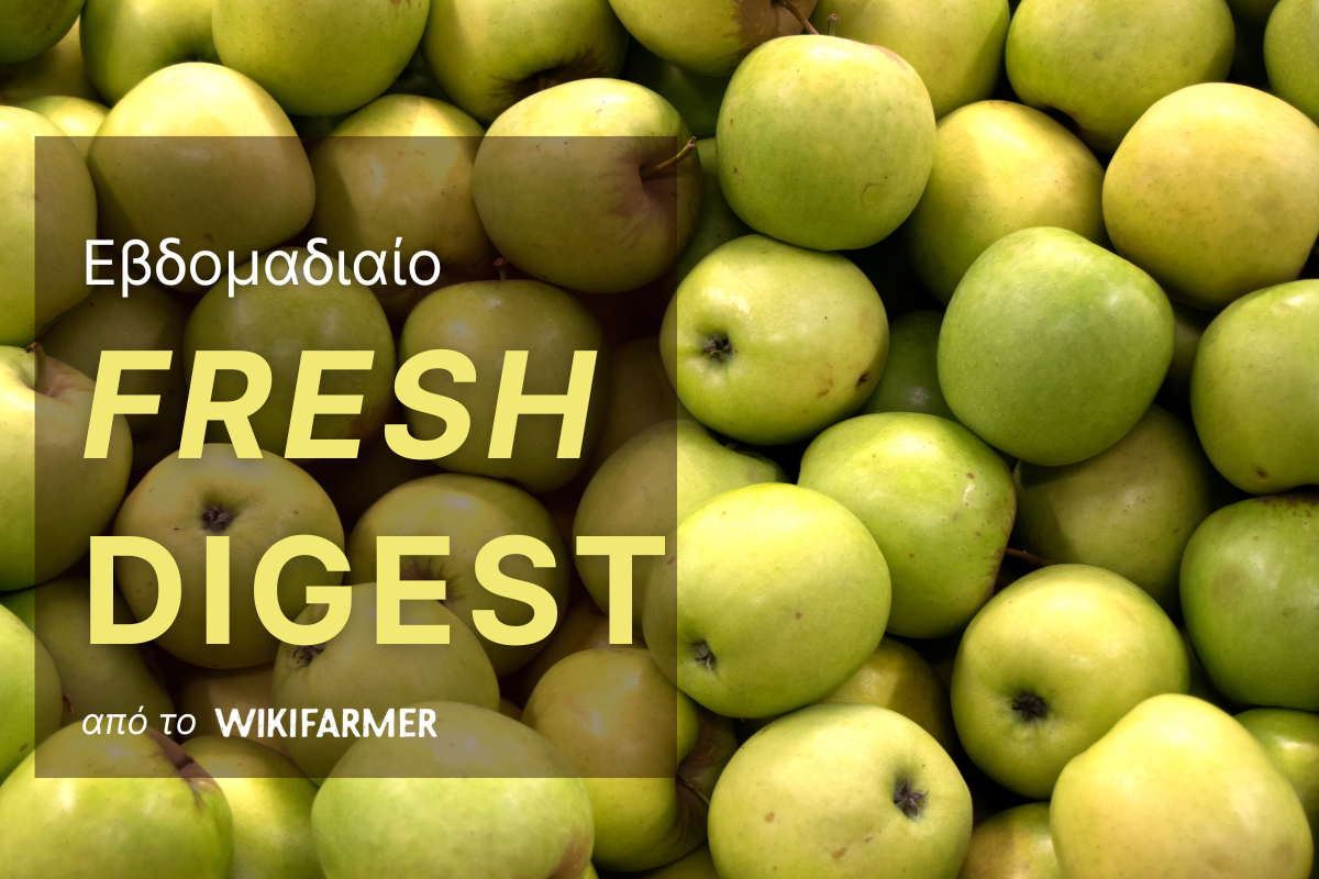 από το Fresh digest Εβδομαδιαίο Οι τιμές των φρέσκων φρούτων στην Ευρώπη: Εβδομάδα 42, 2025