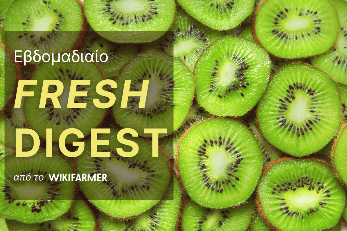 από το Fresh digest Εβδομαδιαίο Οι τιμές των φρέσκων φρούτων στην Ευρώπη: Εβδομάδα 43, 2025