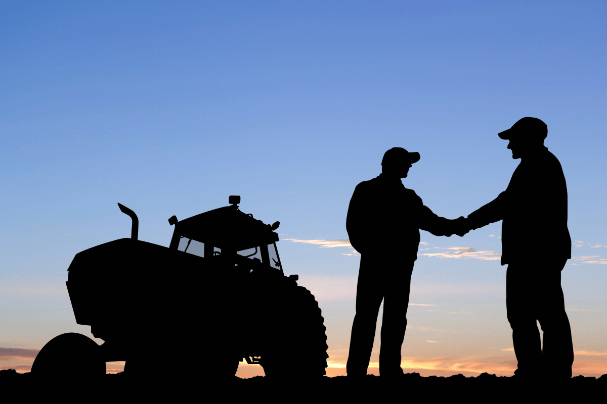 Benchmarking market dynamics and value chain performance in southern Africa