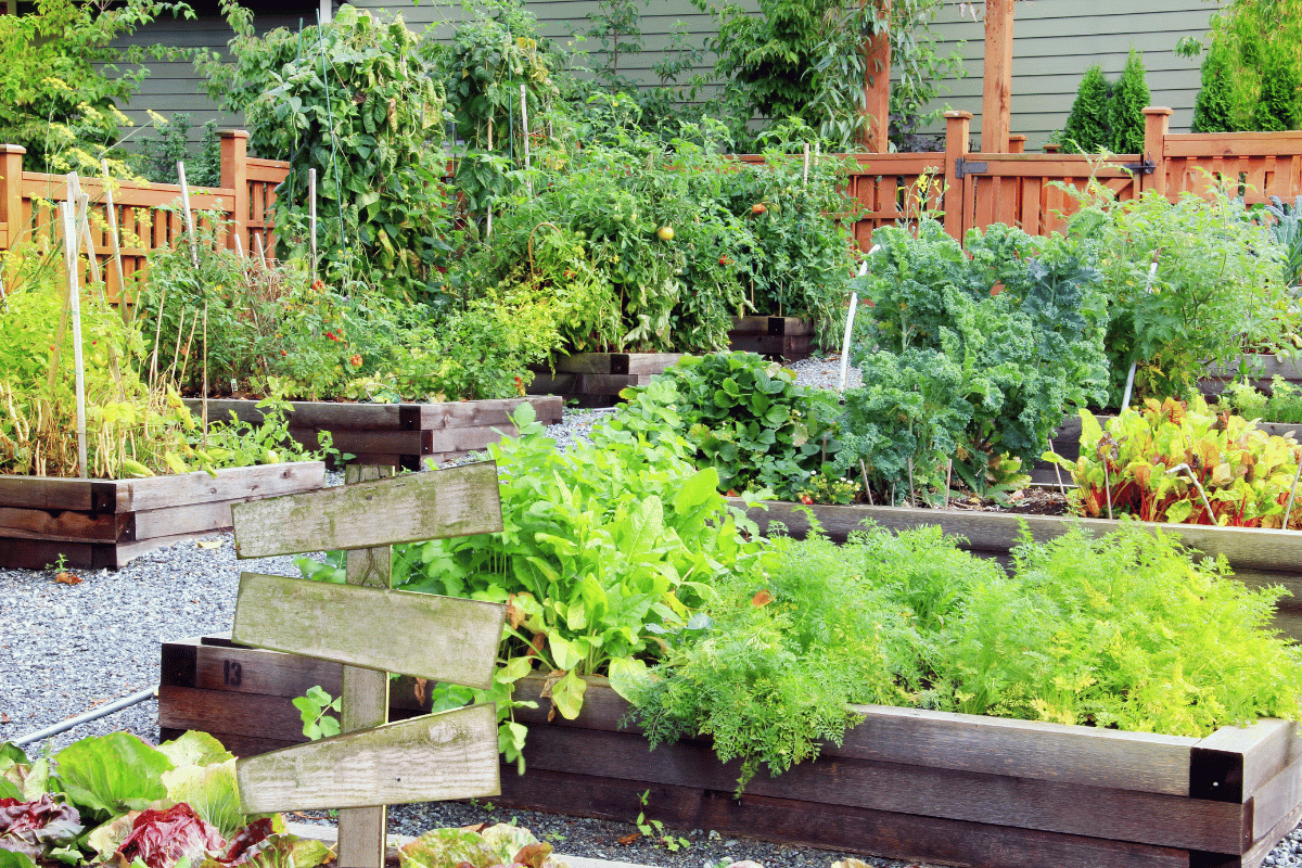 Biodiversity in home gardens for better food security Biodiversity in home gardens for better food security