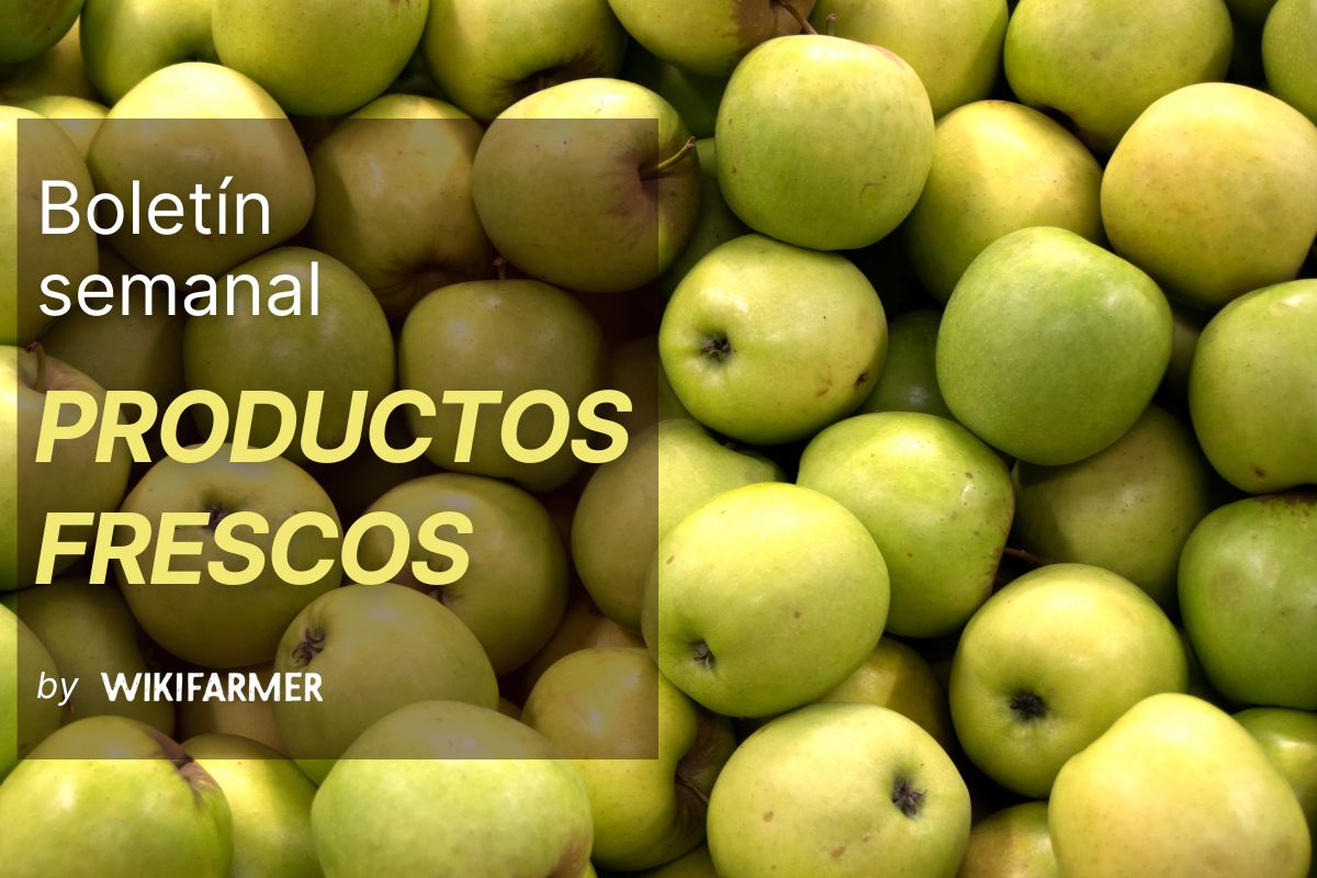 Boletín semanal de productos frescos Boletín de productos frescos: semana 42