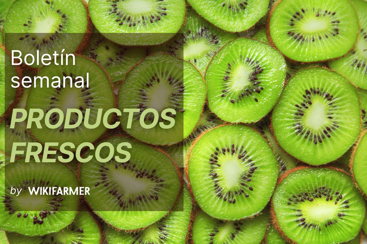 Boletín de productos frescos: Semana 43