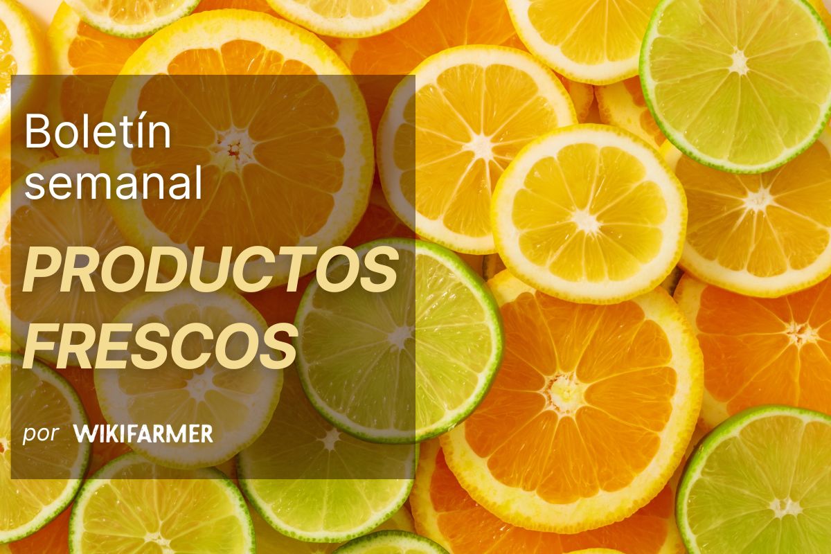 Boletín de productos frescos: Semana 44