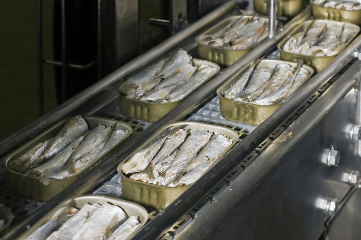 Inside the global canned fish industry Inside the global canned fish industry