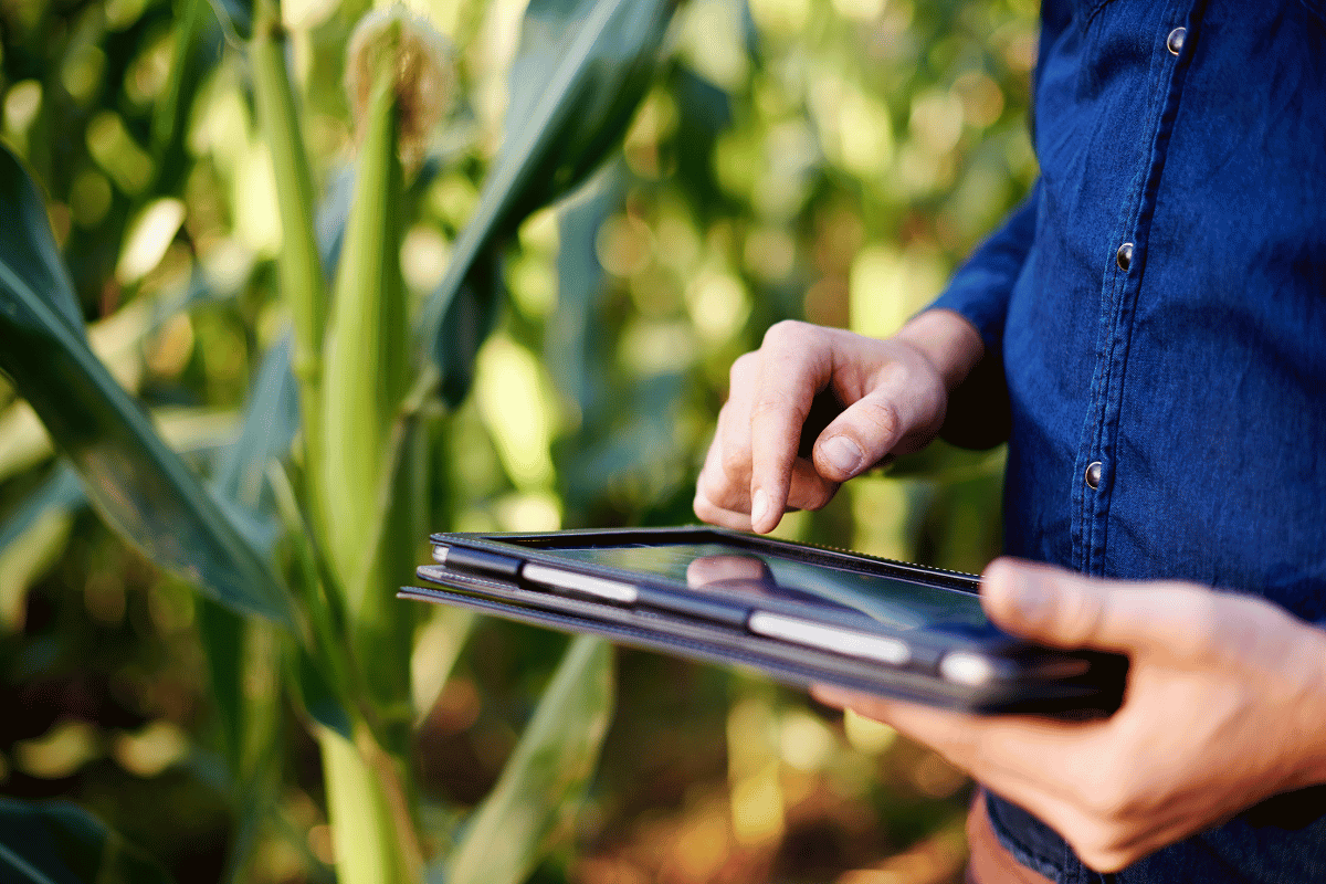 The often neglected benefits of a record-keeping system for small-scale farmers