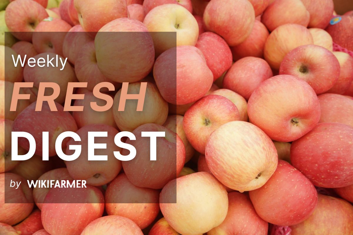 Fresh Market Digest: Week 41