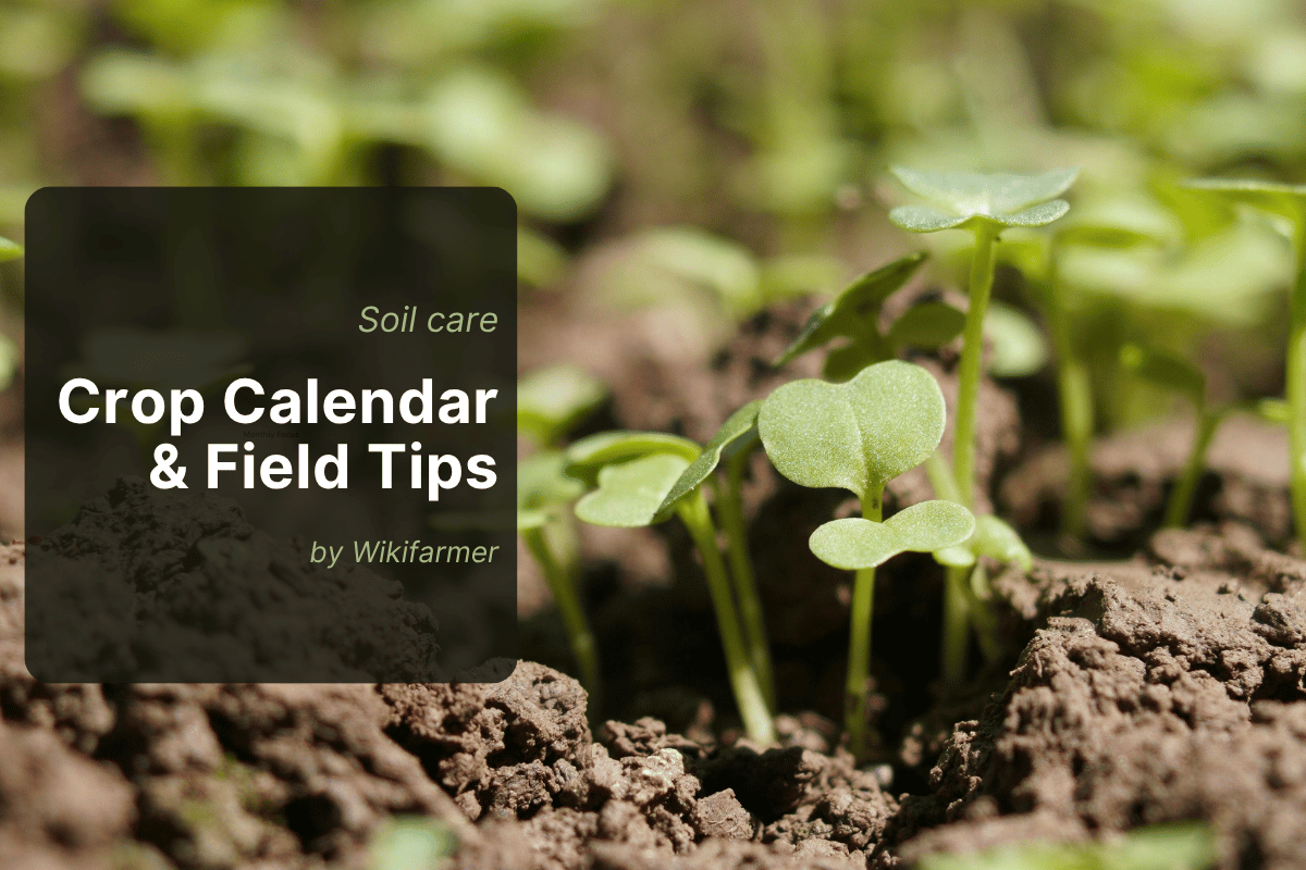October soil care: Rebuilding your field after harvest October soil care: Rebuilding your field after harvest