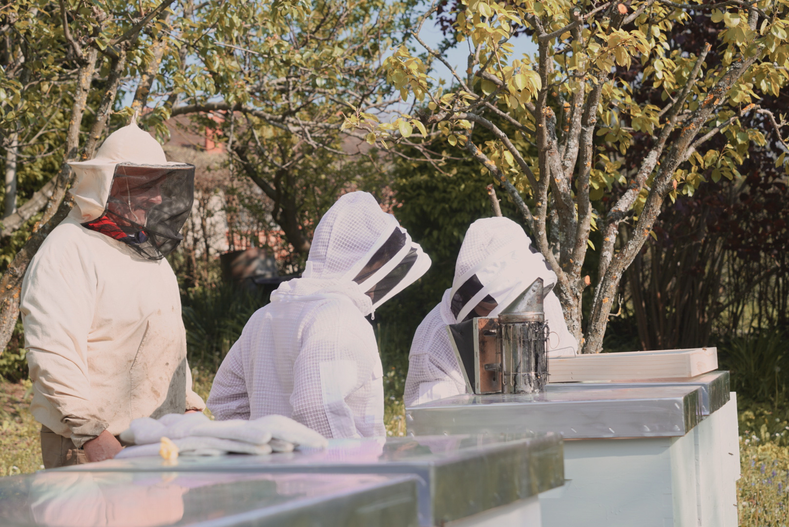 Before and after the appearance of Varroa: Two eras of beekeeping