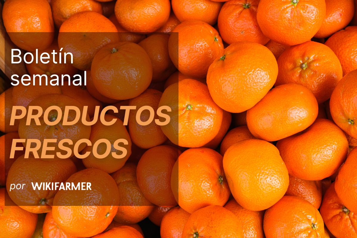 Boletín semanal de productos frescos: semana 45