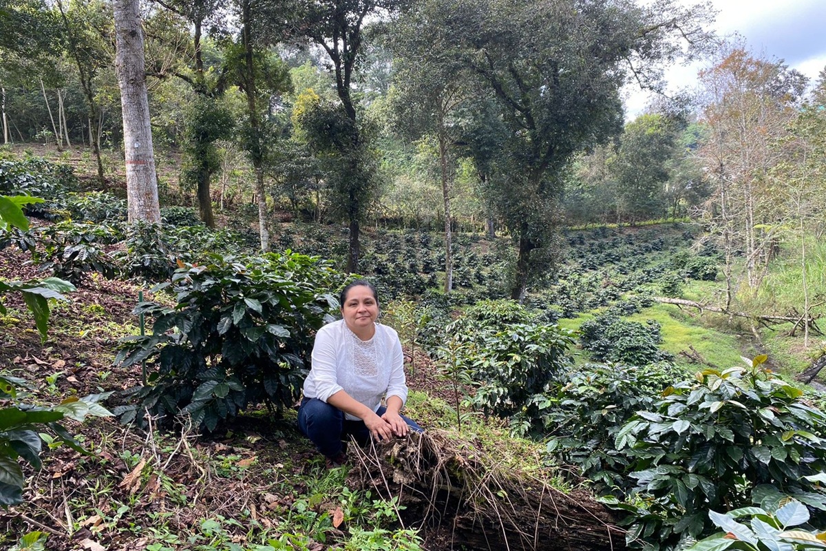 Meet the Woman Who Pioneered Mexico's First Carbon-Neutral Coffee Farm