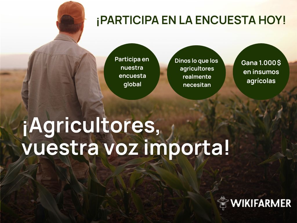 Participa en la encuesta global de agricultores de Wikifarmer Tu voz importa: por qué lanzamos una encuesta global de agricultores