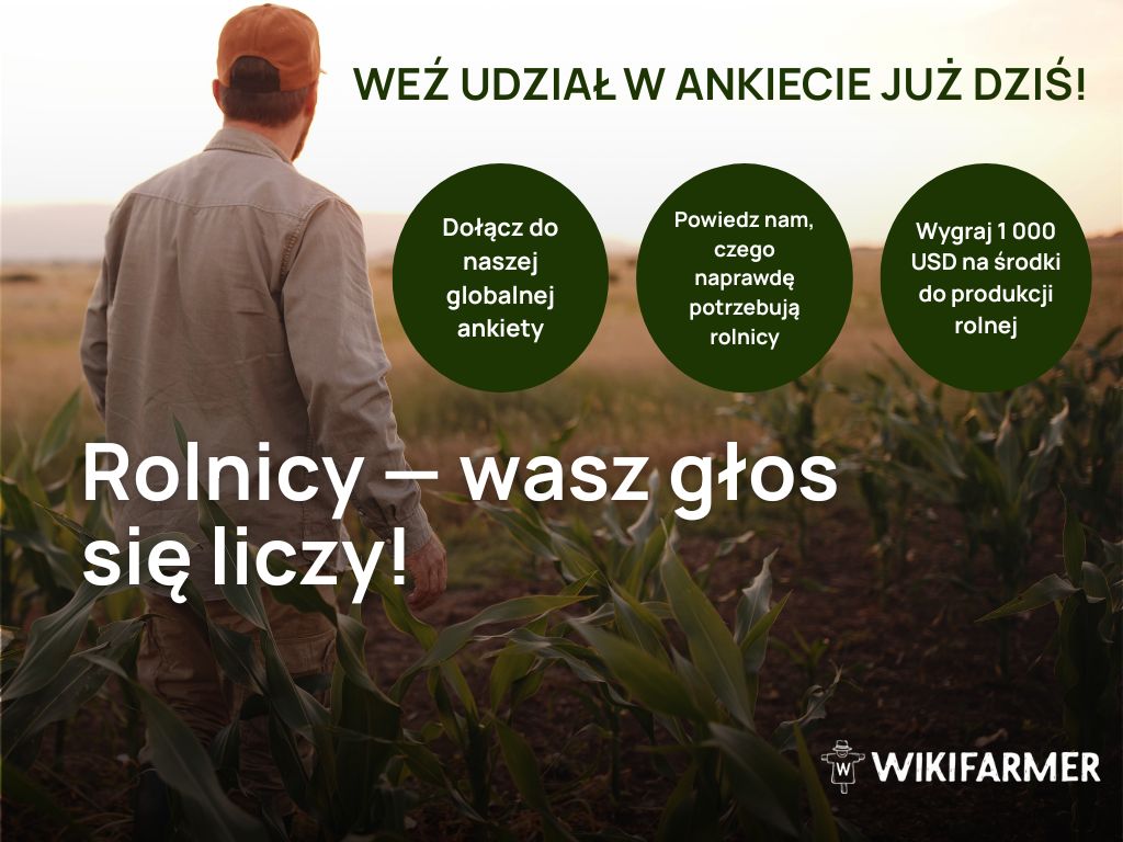 Weź udział w globalnej ankiecie dla rolników organizowanej przez Wikifarmer Twój głos się liczy: dlaczego ruszamy z globalną ankietą dla rolników