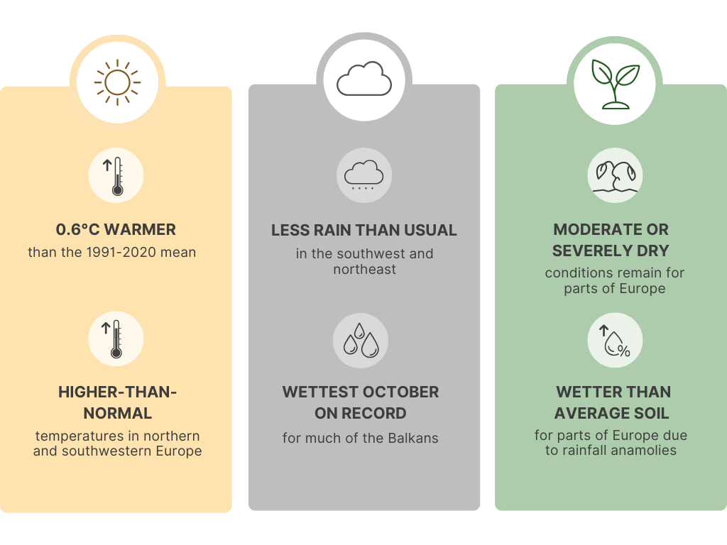 Seasonal-Outlook–November-observations-1.png