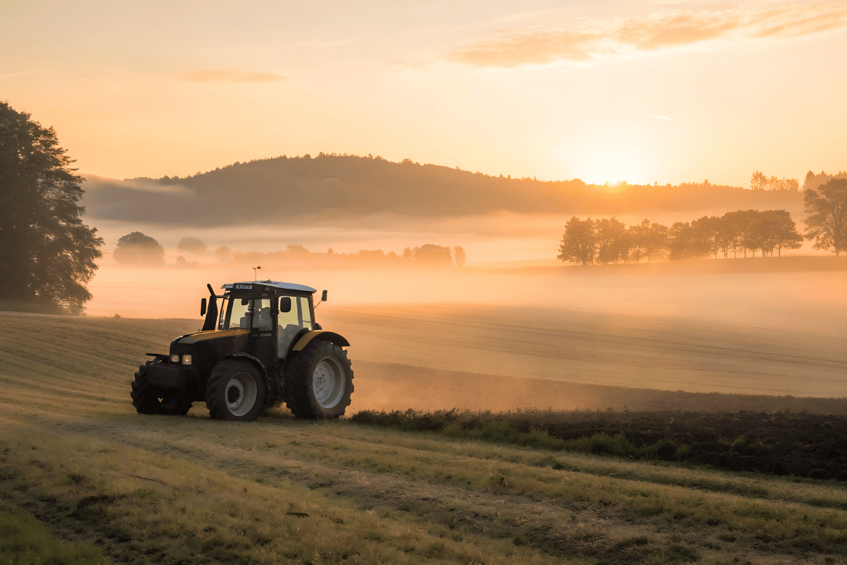 7 soil health indicators every farmer should monitor