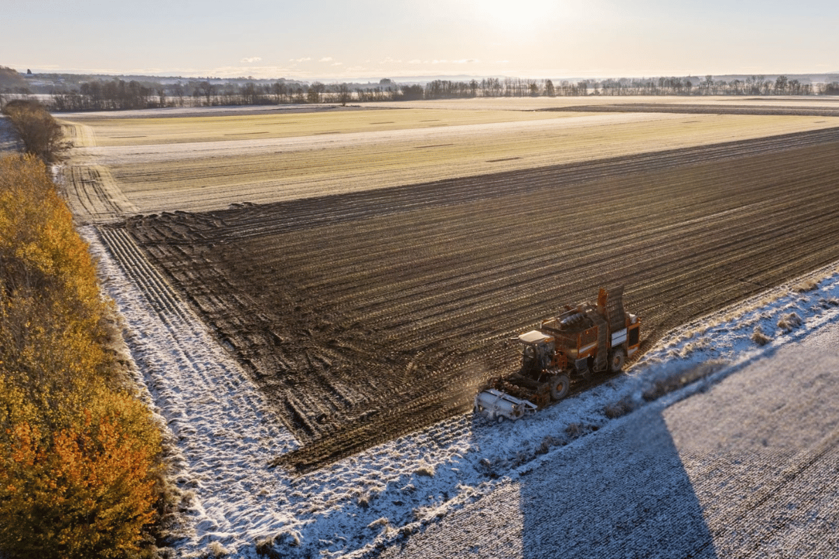 How a milder winter could reshape European farming heading into spring 2026 How a milder winter could reshape European farming heading into spring 2026