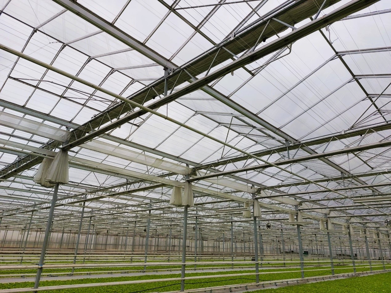 The Importance of Choosing the Right Greenhouse Glass The importance of choosing the right greenhouse glass