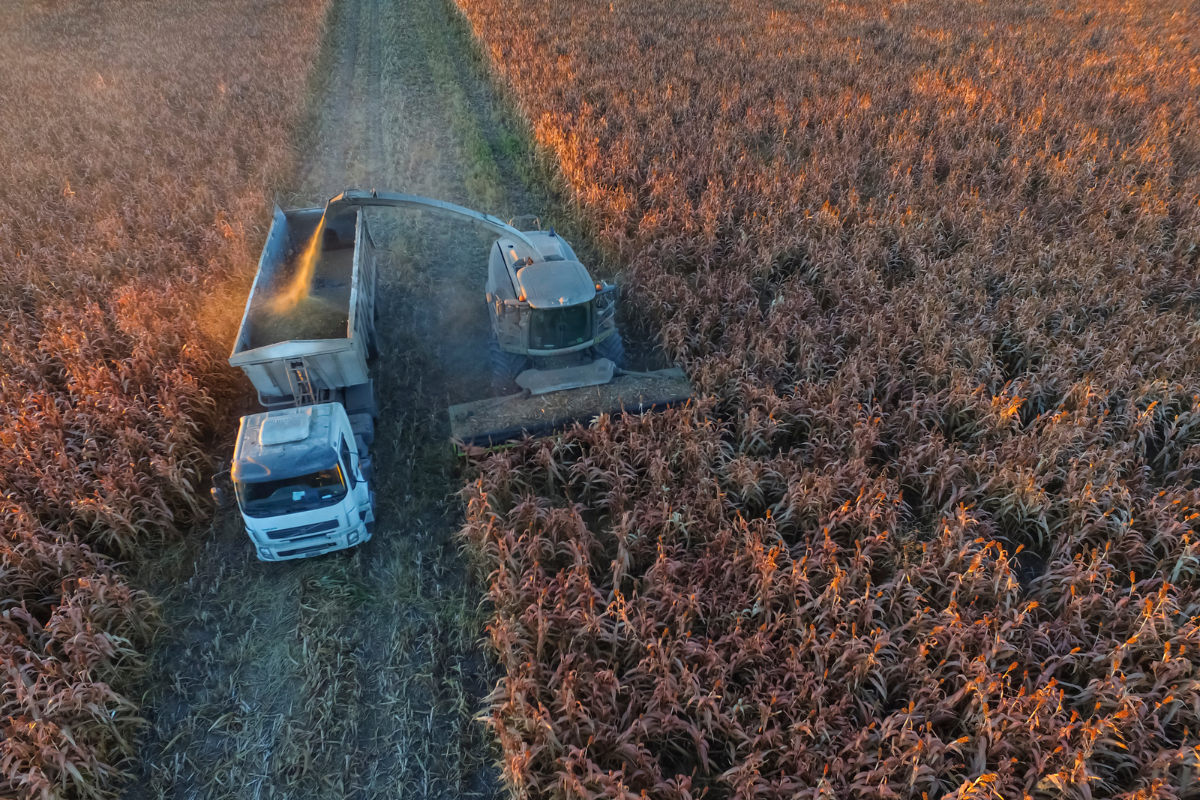 AMBROSIA: Rethinking food safety in a changing climate