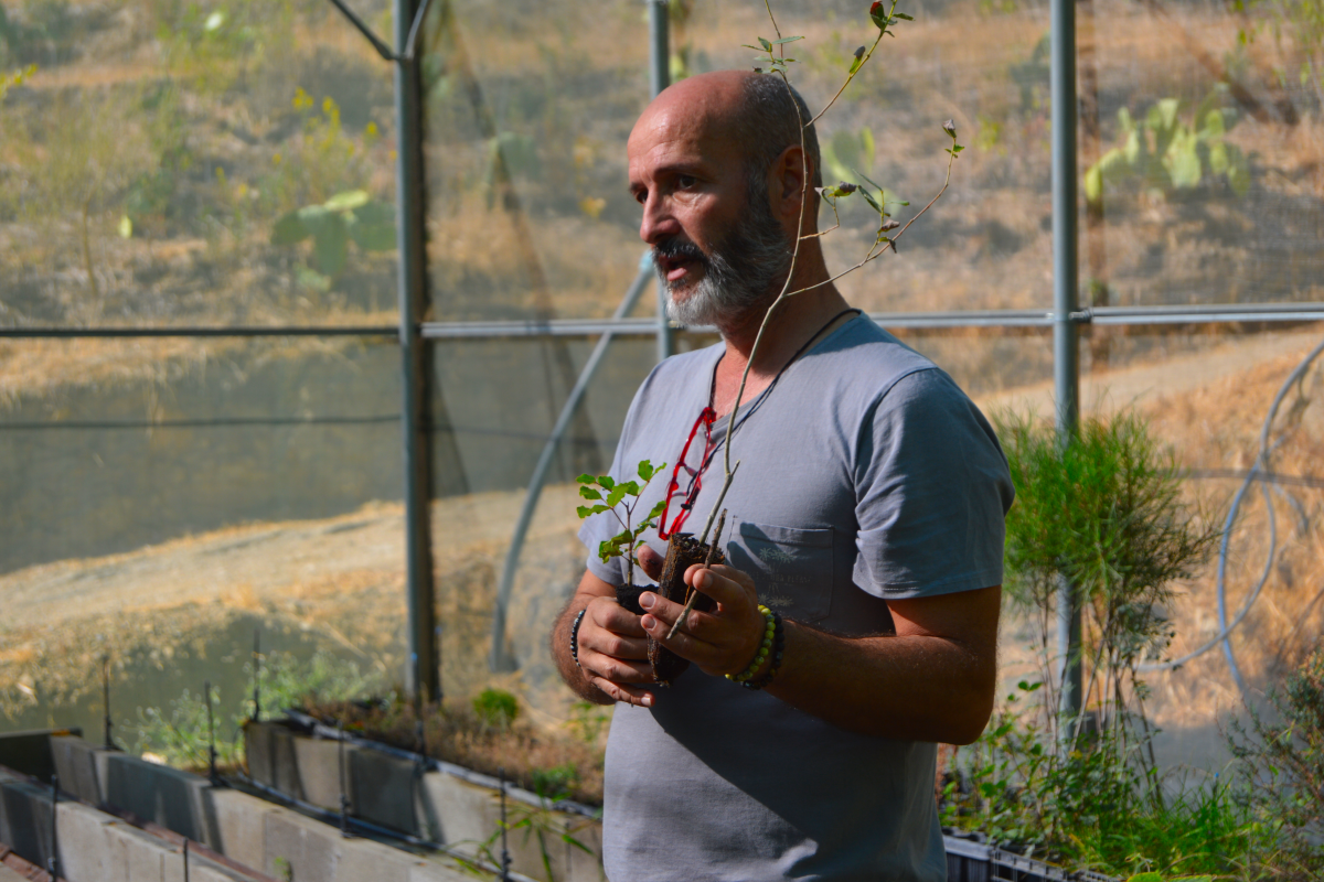 Cómo António Coelho está dando nueva vida a los suelos más secos de Portugal con la agricultura sintrópica