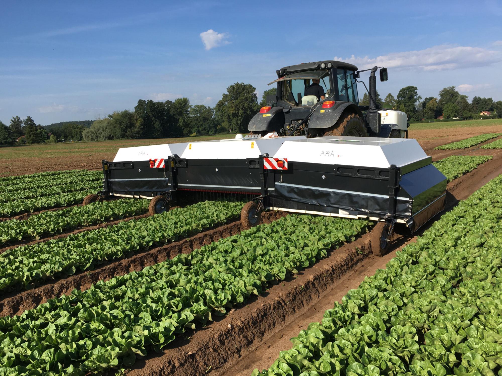 Robotic spraying of weeds in potato and volunteer potatoes in Denmark & Switzerland