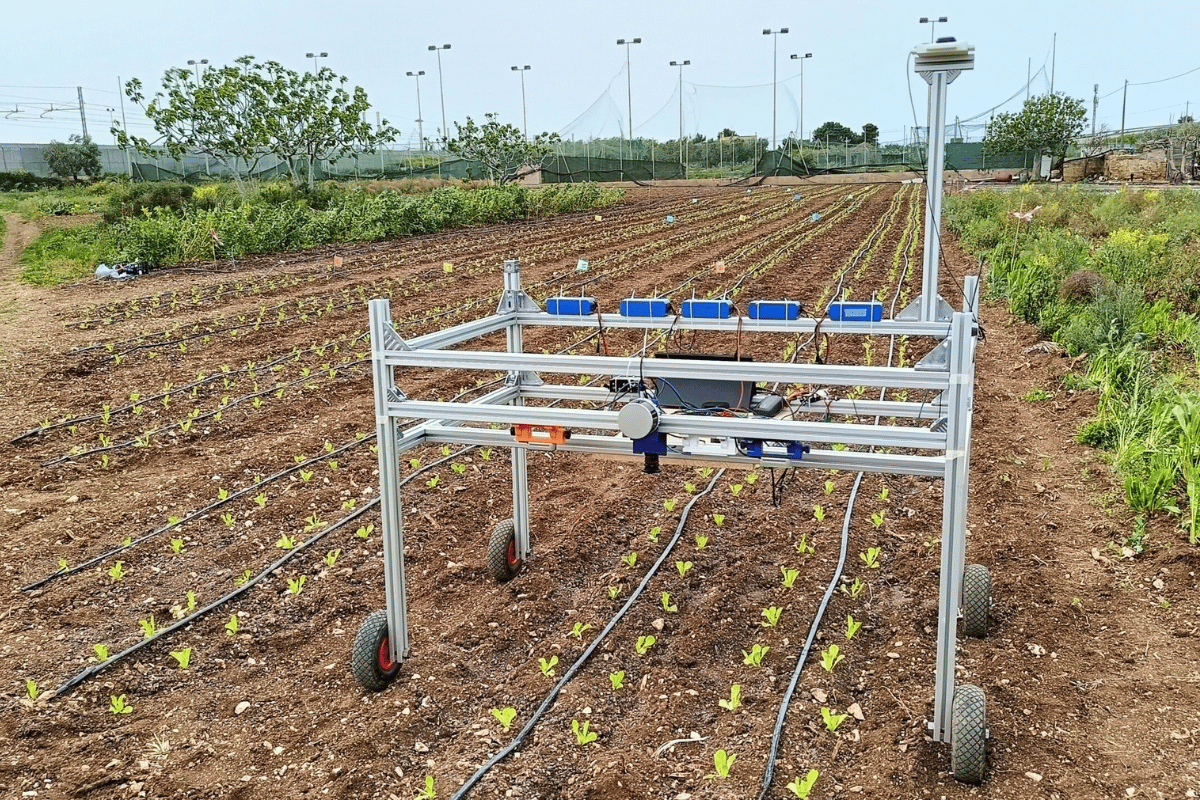 Robotic-assisted dynamic fertilization management in leafy vegetable production Robotic-assisted dynamic fertilization management in leafy vegetable production