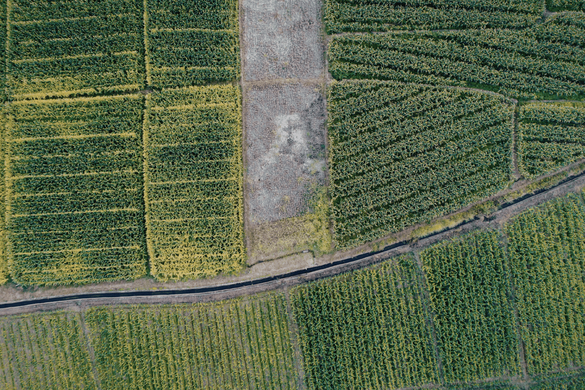Satellite imagery in agriculture: Practical uses and limitations