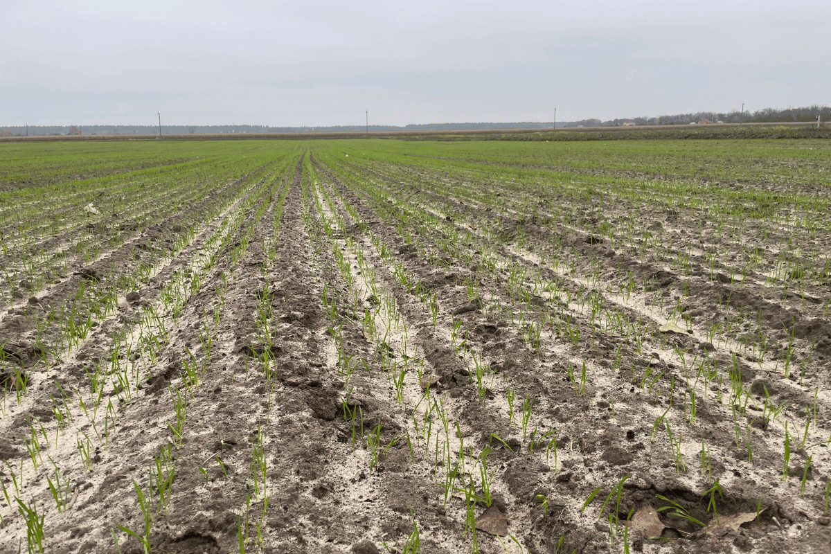 What keeps farms standing when the weather turns What keeps farms standing when the weather turns
