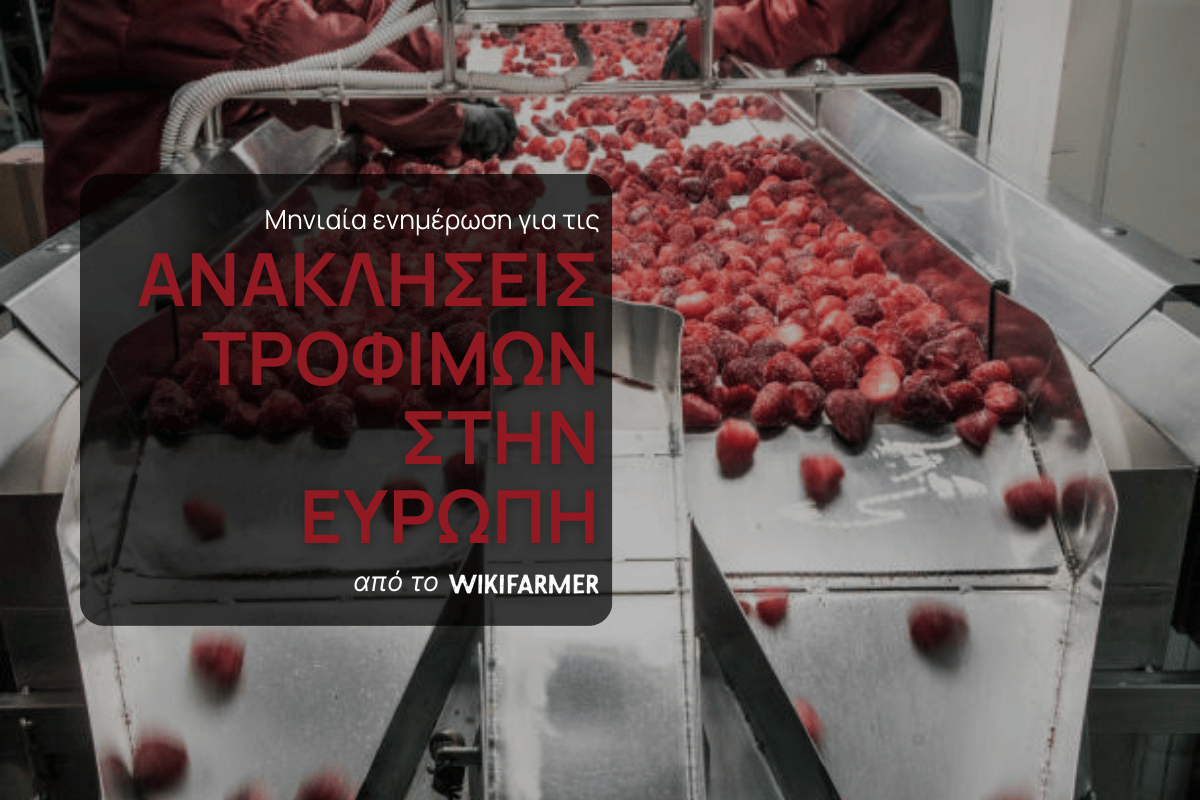 Ανακλήσεις τροφίμων στην Ευρώπη, Φεβρουάριος 2026 356 ανακλήσεις τροφίμων στην ΕΕ τον Φεβρουάριο δείχνουν πού εντοπίζονται οι μεγαλύτερες πιέσεις