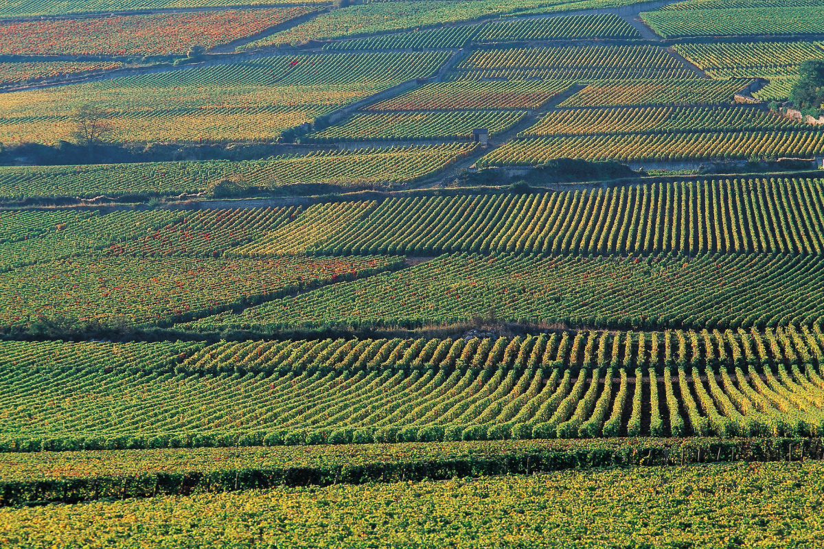 0.1% of the world's farms control more than half of all farmland