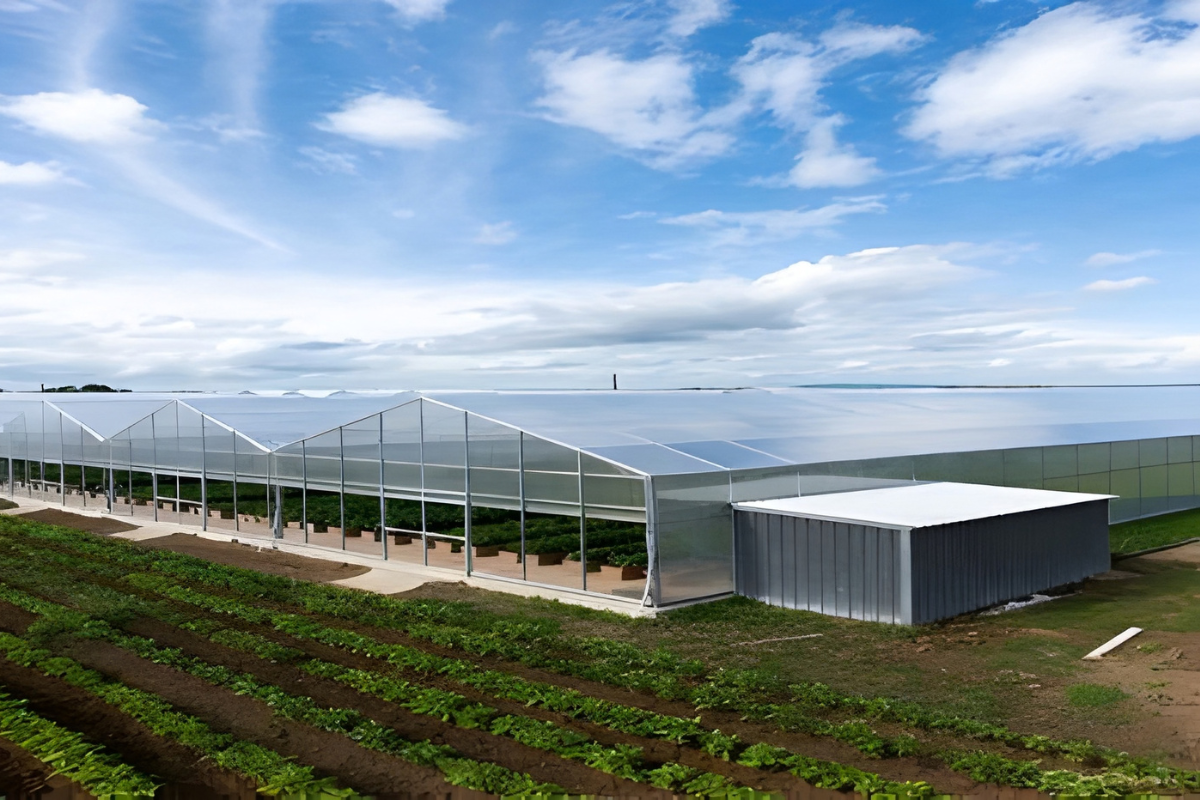 Agriculture through a business lens: Strengthening farm operations through planning and discipline