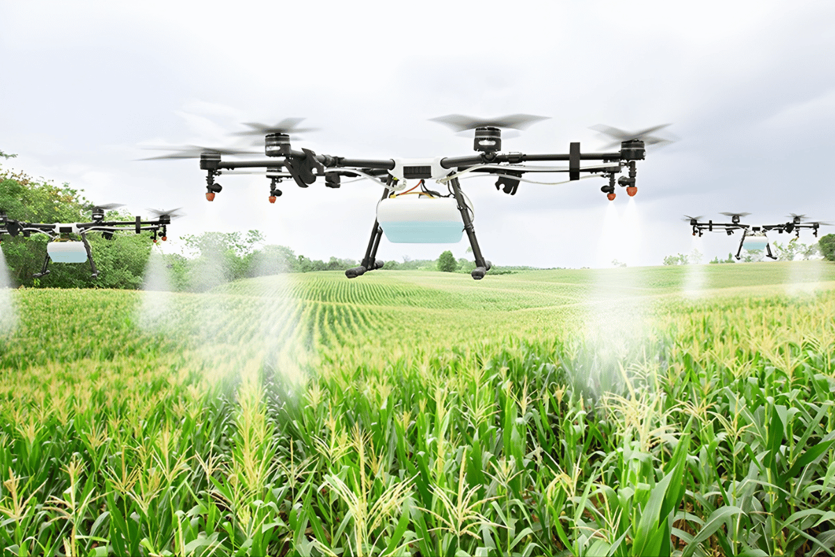 Sustainability as the new agricultural paradigm