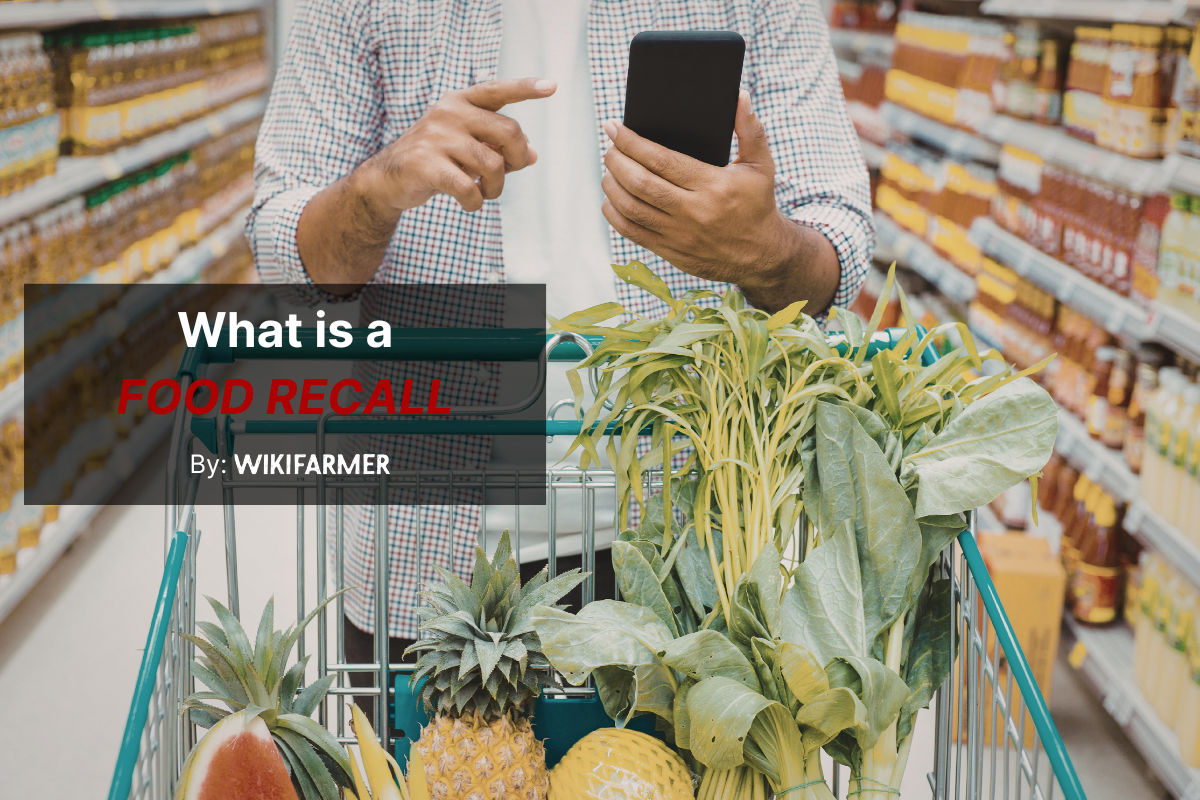What is a food recall and how does it affect the food supply chain What is a food recall and how does it affect the food supply chain?