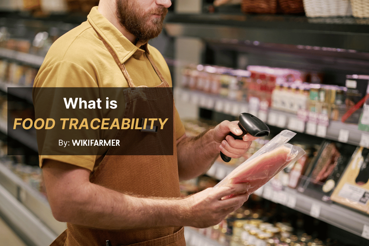 What is food traceability What is food traceability and how does it work?