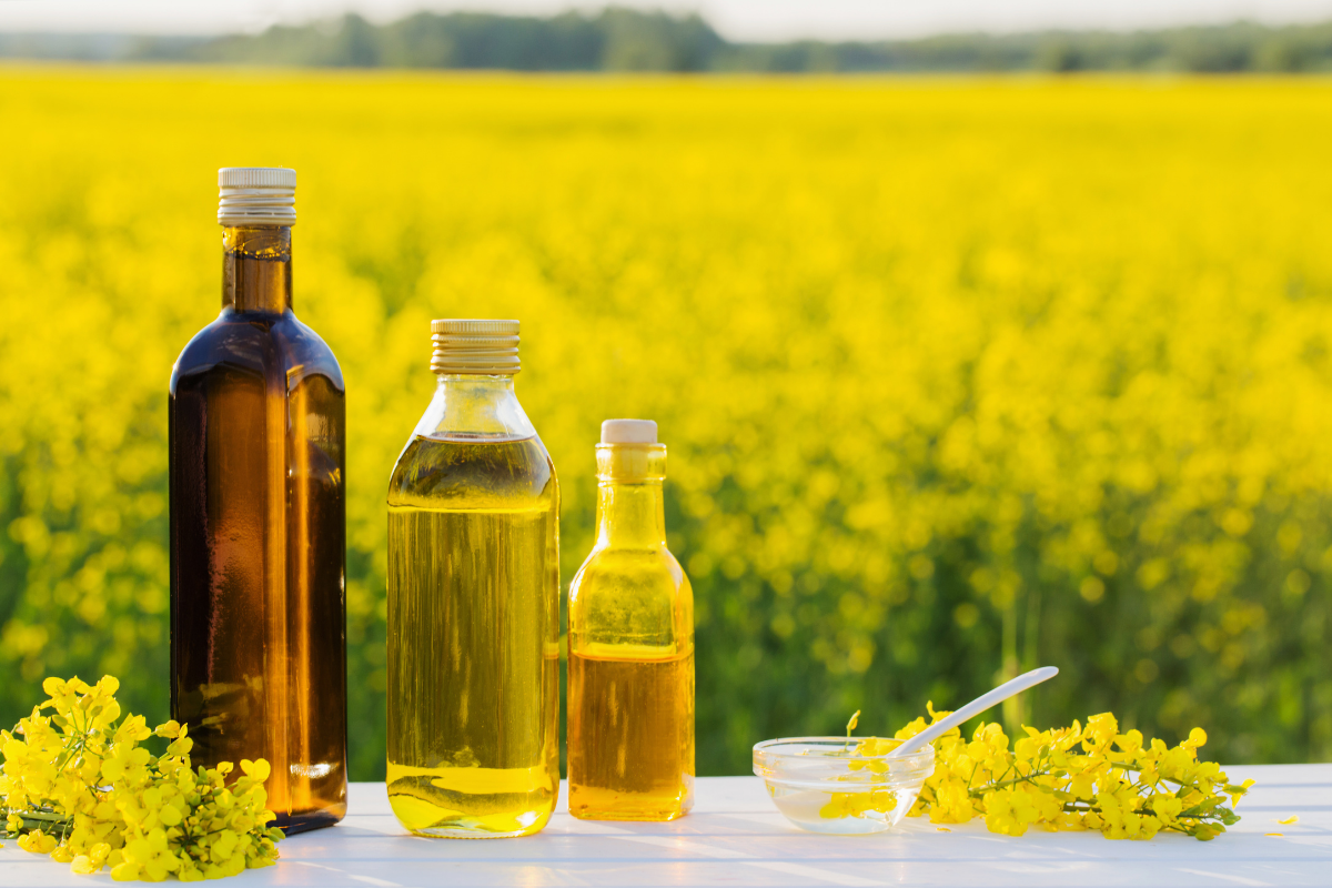 Why EU oilseed imports are falling and what the 5.9% drop means for traders