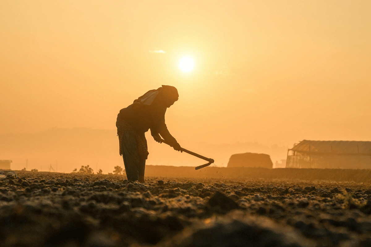 Climate change adaptation strategies for smallholder farmers