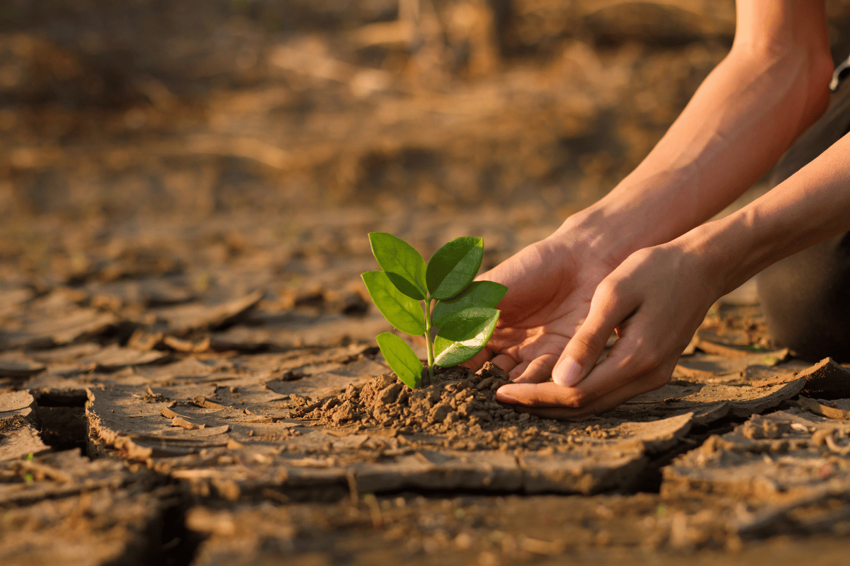 What climate change adaptation actually looks like on a Ugandan farm