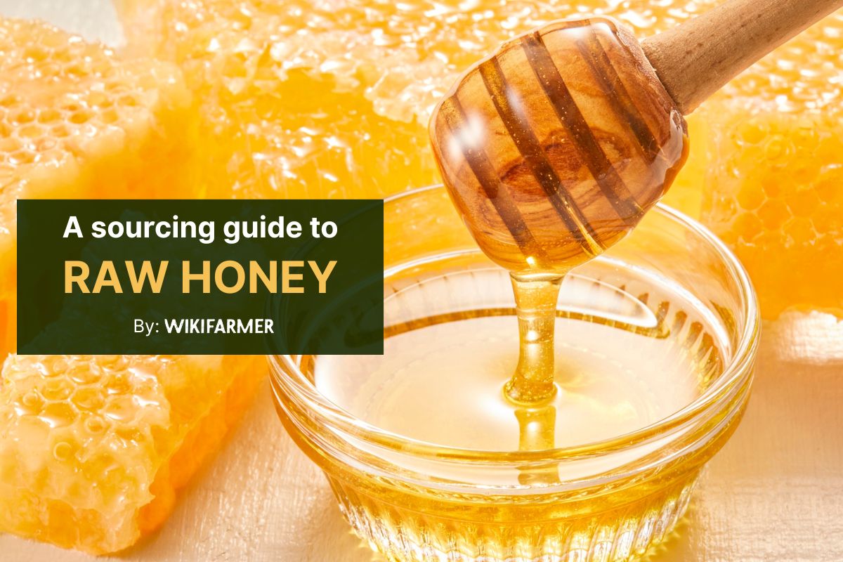 A Wikifarmer sourcing guide to raw honey in bulk A guide to sourcing raw honey in bulk