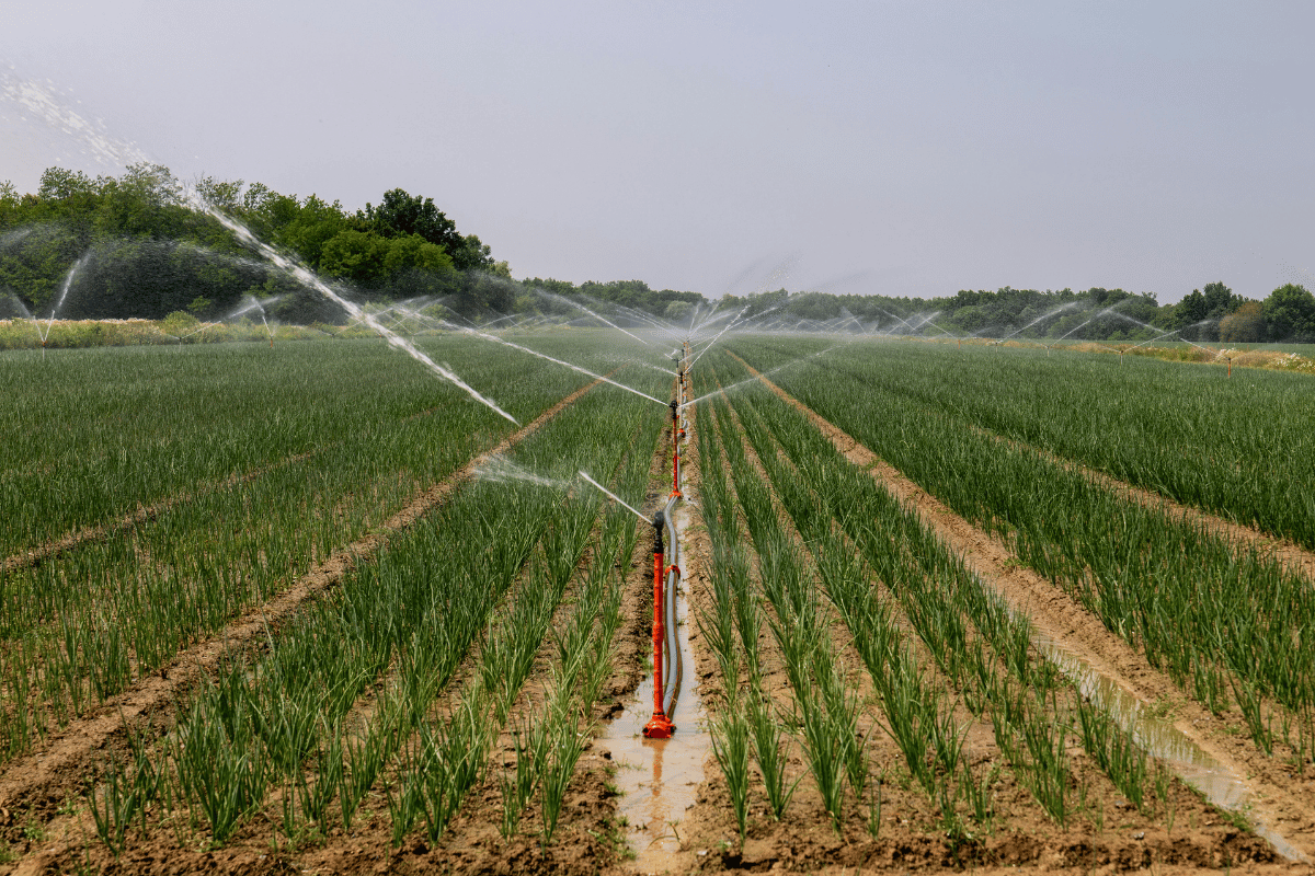 Carbon farming in context, insights from the Padova summit on building resilient farm systems